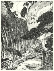 La foresta oscura