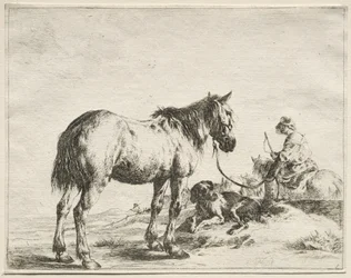 Un Cavallo Legato a un Palo