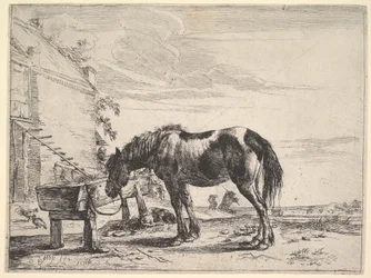 Cavallo legato a una mangiatoia