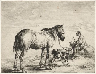 Cavallo legato a un palo
