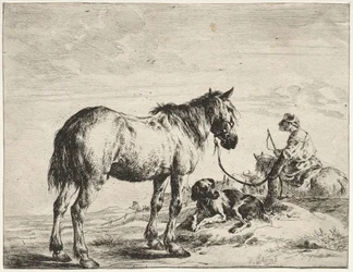Cavallo legato a un palo