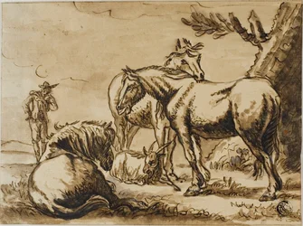 Cavalli, capra e un uomo