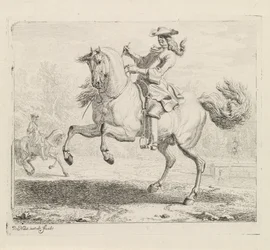 Cavallo impennato con cavaliere