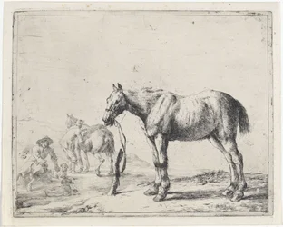 Cavallo legato a un palo verso sinistra