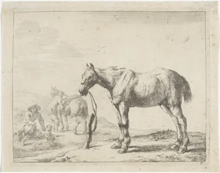 Cavallo legato a un palo verso sinistra