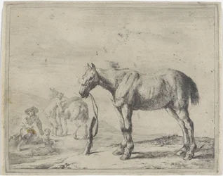 Cavallo legato a un palo verso sinistra