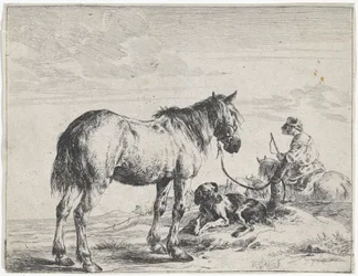 Cavallo legato a un palo