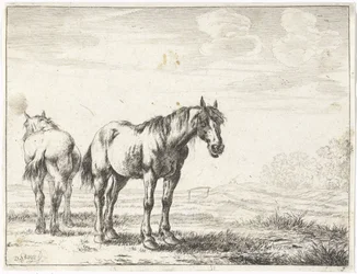 Due cavalli in un paesaggio