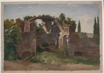 Rovine. Terme di Caracalla a Roma?