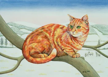 Rami spogli, No.1, 1994