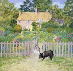 Il gatto di Bathsheba, da Via dalla Pazza Folla, di Thomas Hardy, (Capitolo 4)