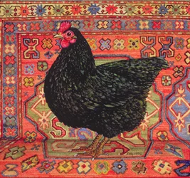 Pollo da tappeto nero, 1995