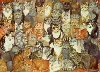 Gatti Sparsi