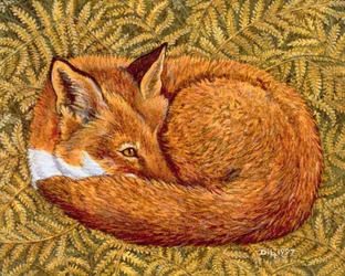 Sonnellino del gatto, 1997