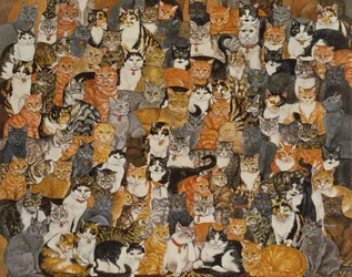 Doppio gatto-spread