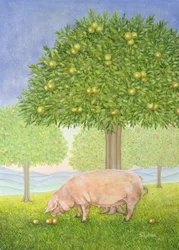 Maiale del frutteto sinistro