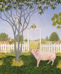 Maiale e gatto