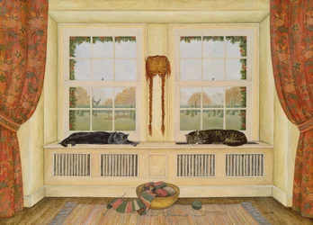 Arrostire sul radiatore