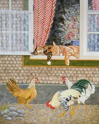 Il pollame e i gattini