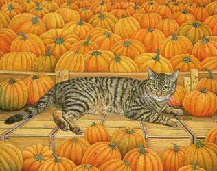 Il Gatto-Zucca, 1995