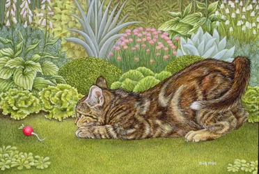 La Caccia al Ravanello, 1996