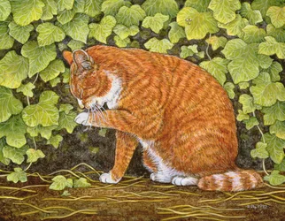 Giorno del bucato, 1996