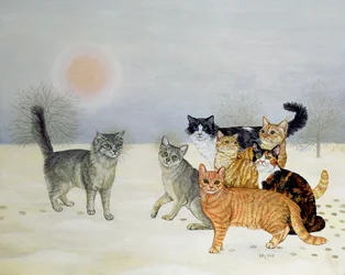 Gatti Invernali