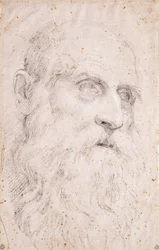 La Testa di San Girolamo