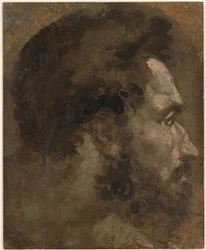 Beccafumi - Testa di uomo barbuto di profilo a destra, 1530-1535 ca.