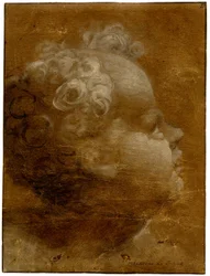 Beccafumi - Testa di bambino che guarda in alto, di profilo a destra Disegno a pennello a olio grigio-bruno e bianco, su carta preparata marrone, con linee dentellate, 1528 (circa)