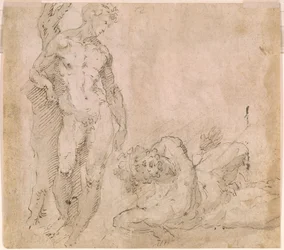 Beccafumi - Verso Nudo maschile appoggiato a un tronco d