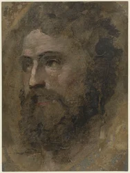 Testa di uomo con capelli ricci, verso sinistra