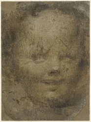Testa di bambino