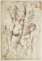 Studi di gambe e nudi maschili
