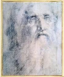 Studio della testa di un vecchio con barba