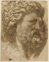 Testa di un Uomo