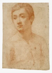 Testa di un Giovane, c.1600-25