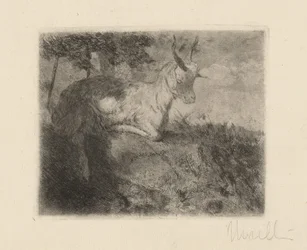La capretta