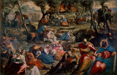 La raccolta della manna (ebrei nel deserto). Scena dell
