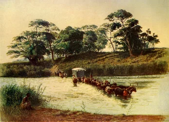 Carro di buoi che attraversa un guado sul fiume Umbelois - Swaziland, 1902