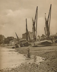 Chiatte incagliate a Mortlake con la marea al massimo