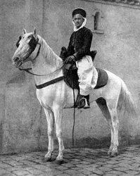 Cavaliere berbero dell