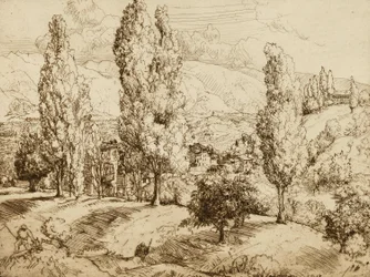 Campi di Asolo
