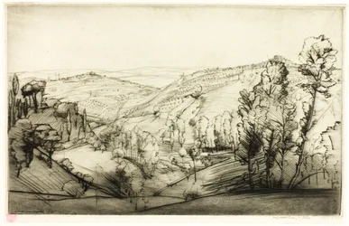 Campi di San Gimignano