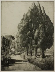 Il Bosco di Cipressi