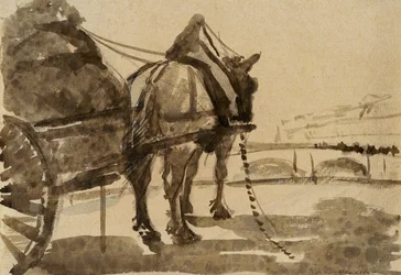 Il cavallo