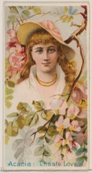 Acacia: Amore casto, dalla serie Bellezze floreali e linguaggio dei fiori N75 per Duk..., 1892