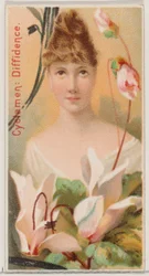 Ciclamino: Diffidenza, dalla serie Bellezze floreali e linguaggio dei fiori N75 per Du..., 1892