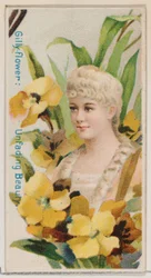 Garofano: Bellezza imperitura, dalla serie Bellezze floreali e linguaggio dei fiori N7..., 1892