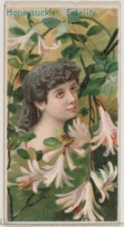 Caprifoglio: Fedeltà, dalla serie Bellezze floreali e linguaggio dei fiori N75, 1892